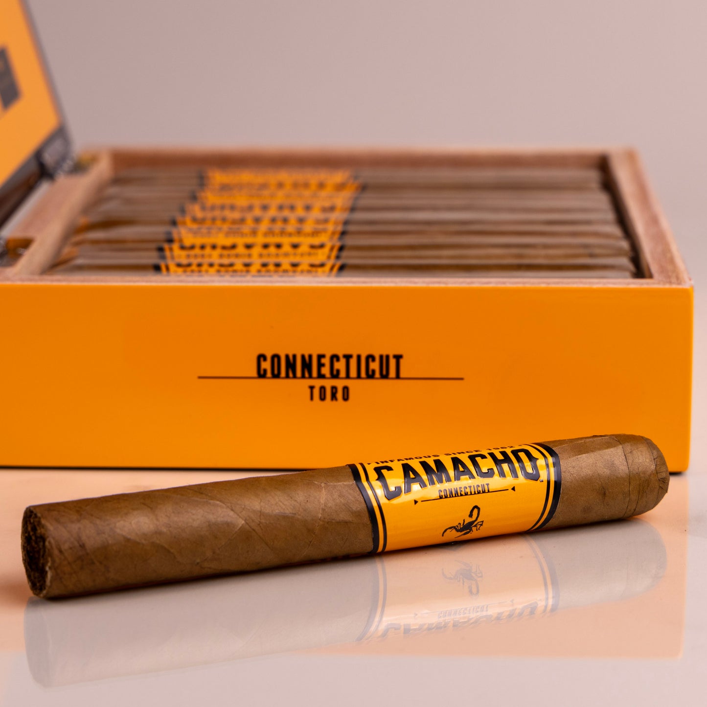 Camacho Connecticut Toro