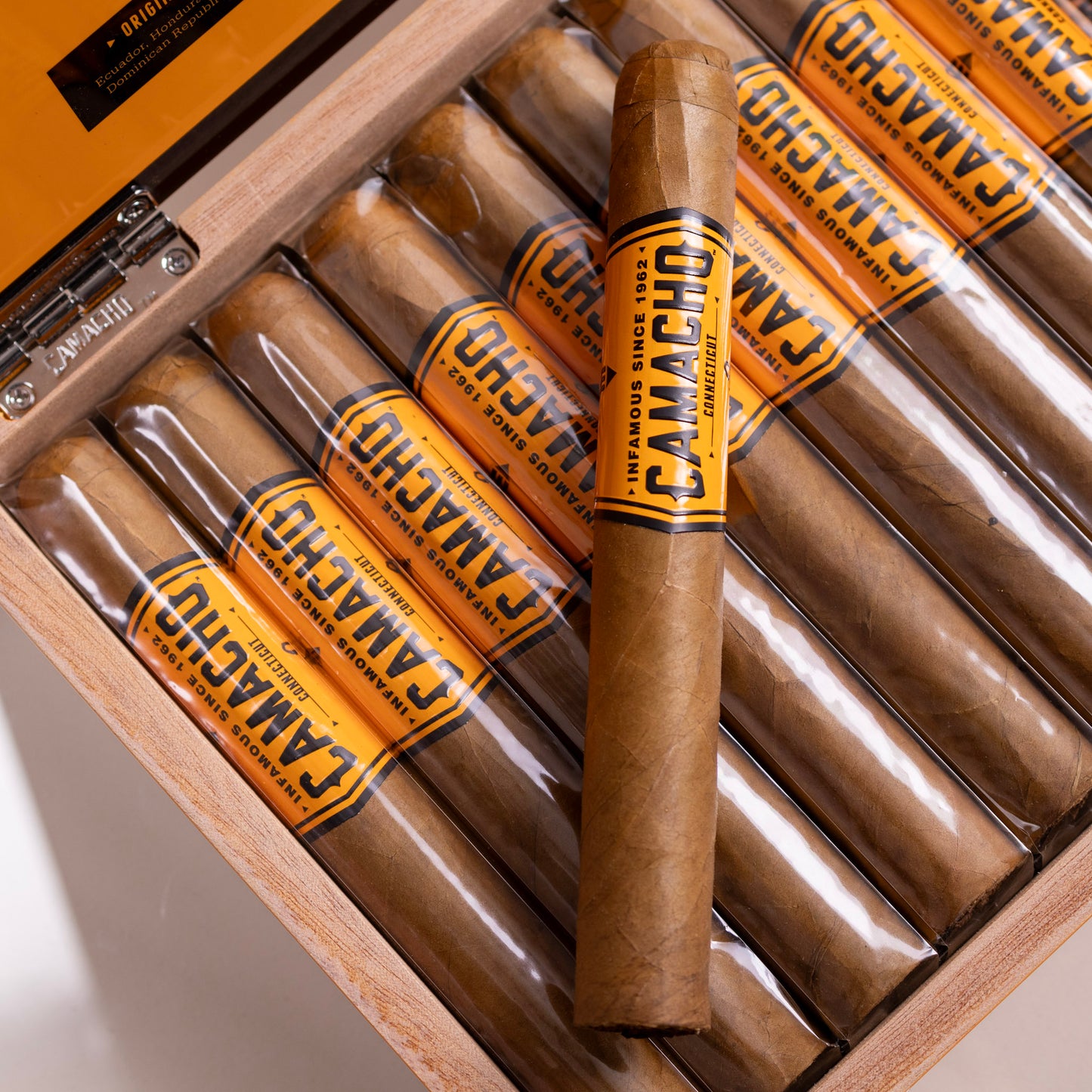 Camacho Connecticut Toro