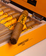 Camacho Connecticut Toro