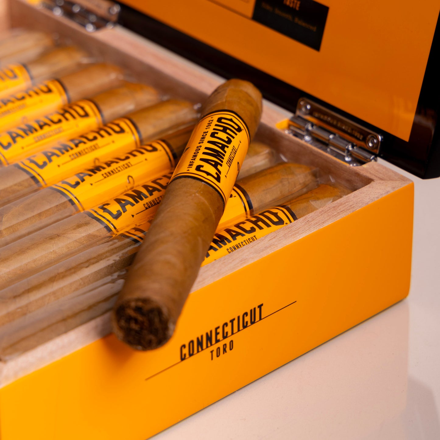 Camacho Connecticut Toro