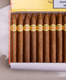 Diplomaticos No. 2