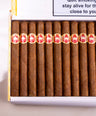 H. Upmann Majestic