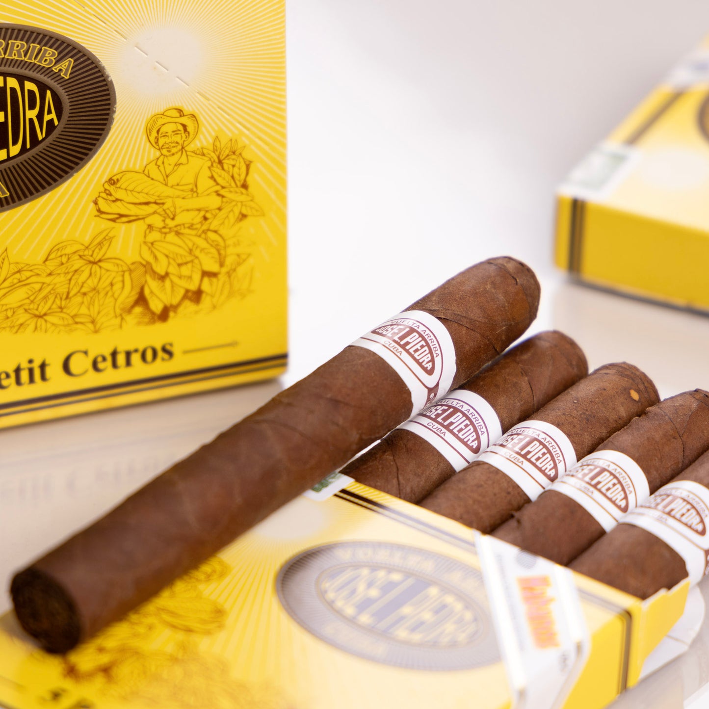 Jose L. Piedra Petit Cetros