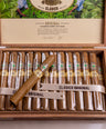 Joya de Nicaragua Clasico Toro