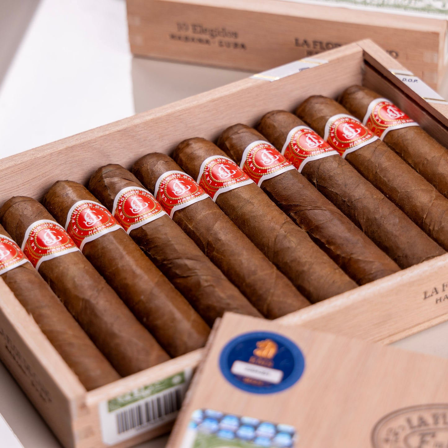 La Flor de Cano Elegidos