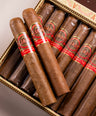 Oliva Aliados Original Robusto