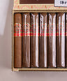 Oliva Aliados Original Robusto