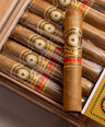 Perdomo 20th Anniversary Connecticut Robusto