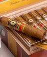 Perdomo 20th Anniversary Connecticut Robusto
