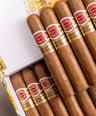 Romeo y Julieta Short Churchill