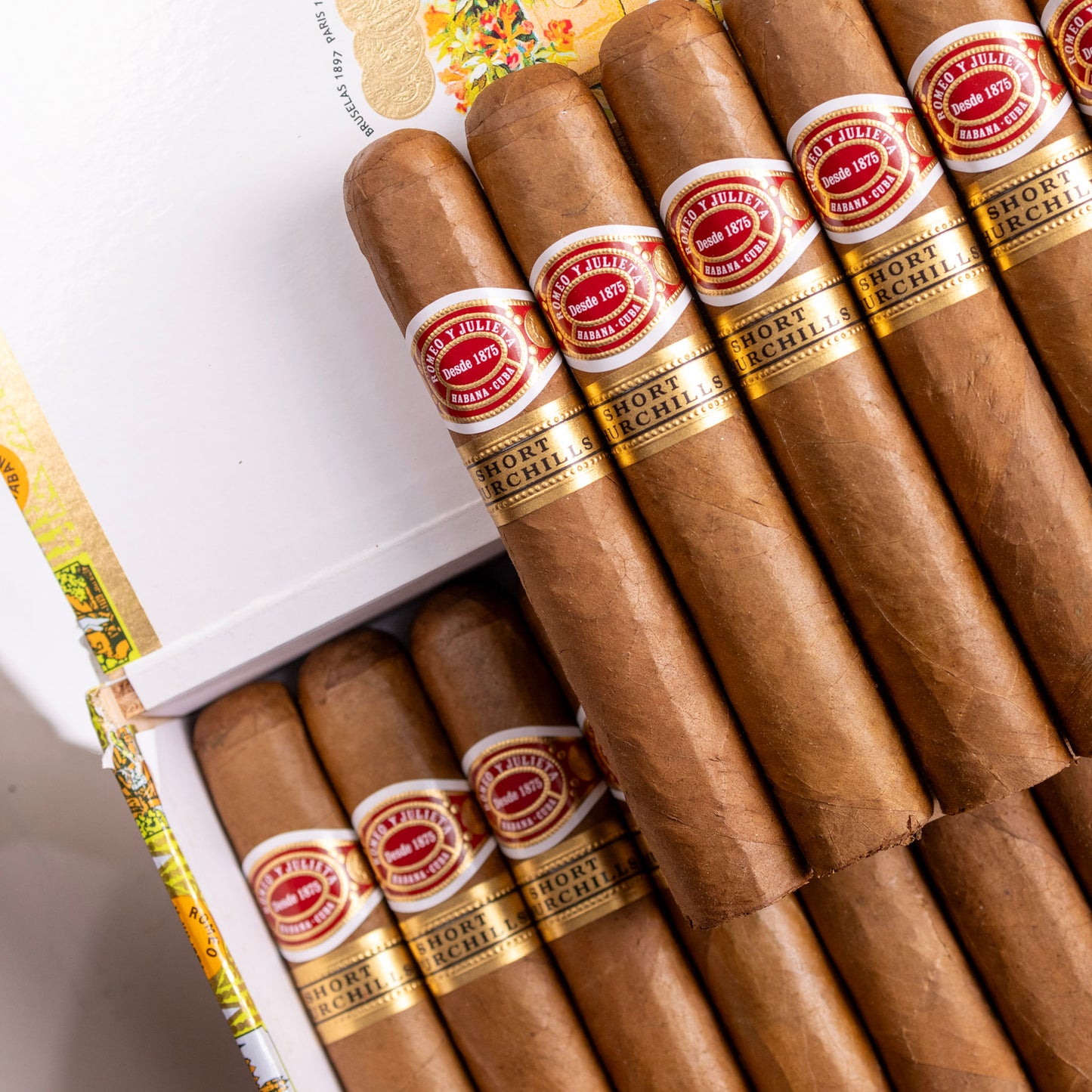 Romeo y Julieta Short Churchill