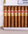 Romeo y Julieta Short Churchill