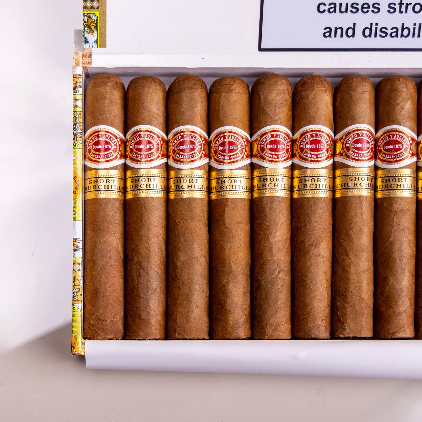 Romeo y Julieta Short Churchill