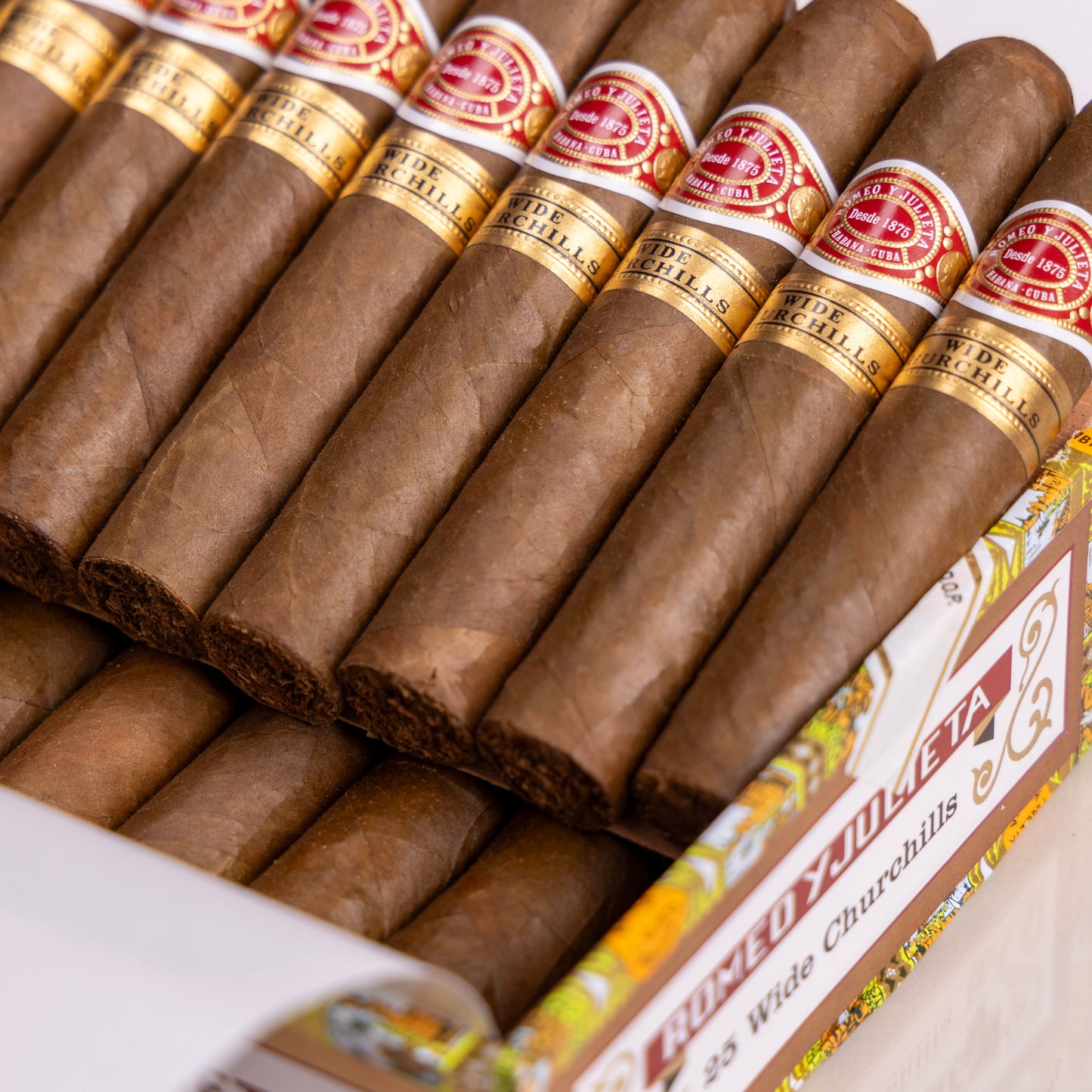 Romeo y Julieta Wide Churchill