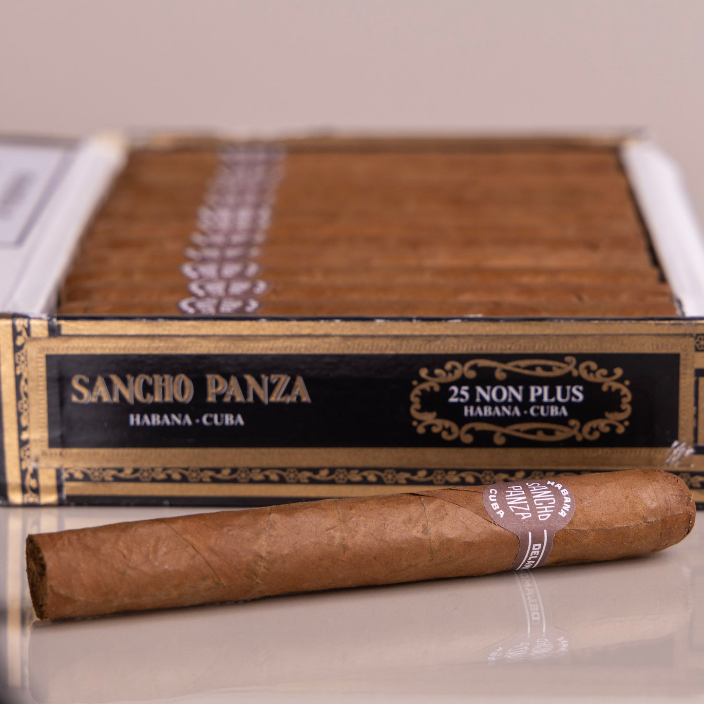 Sancho Panza Non Plus