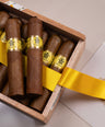 Trinidad Vigia