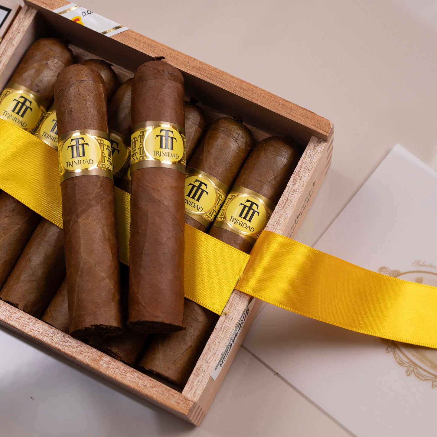 Trinidad Vigia