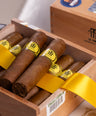 Trinidad Vigia