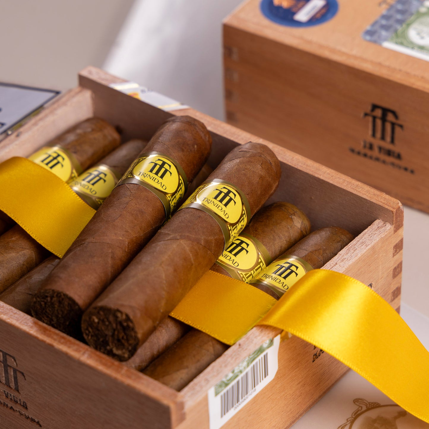 Trinidad Vigia