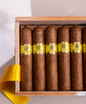 Trinidad Vigia