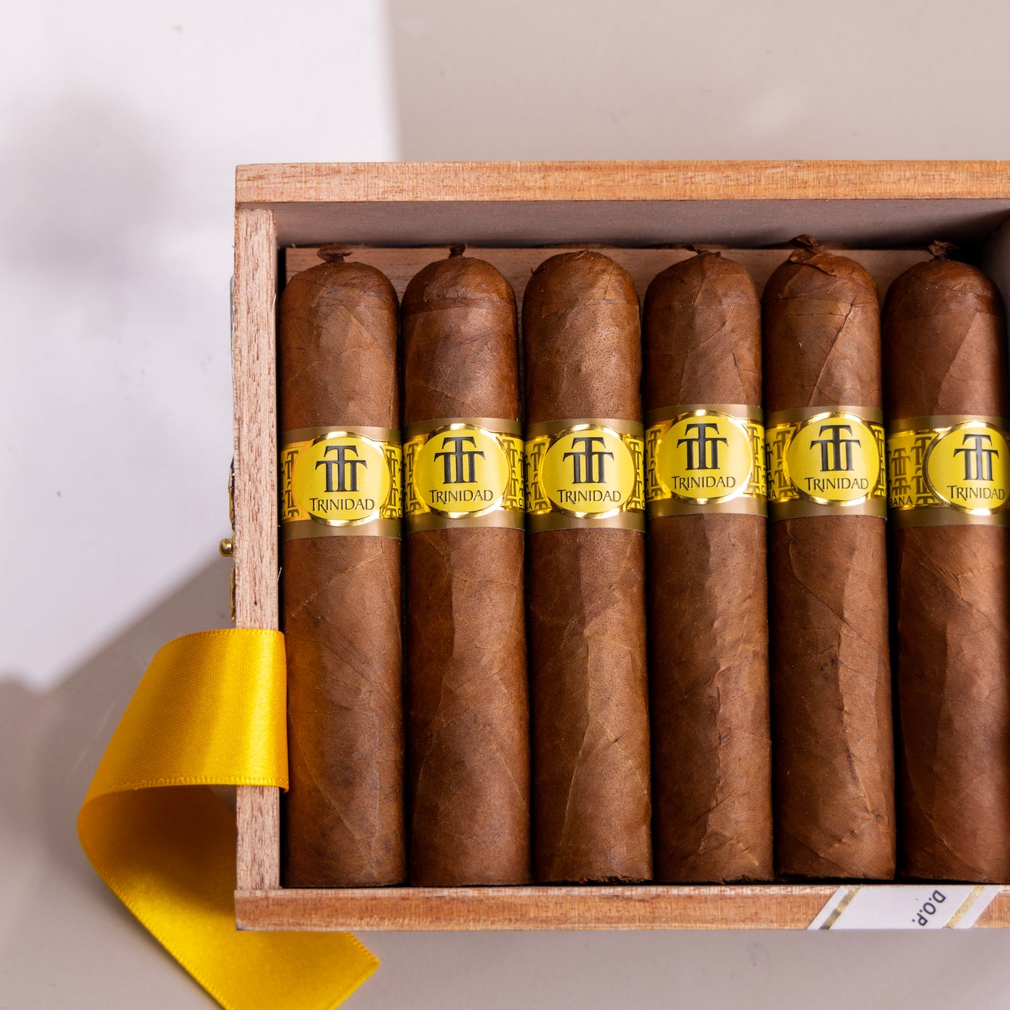 Trinidad Vigia